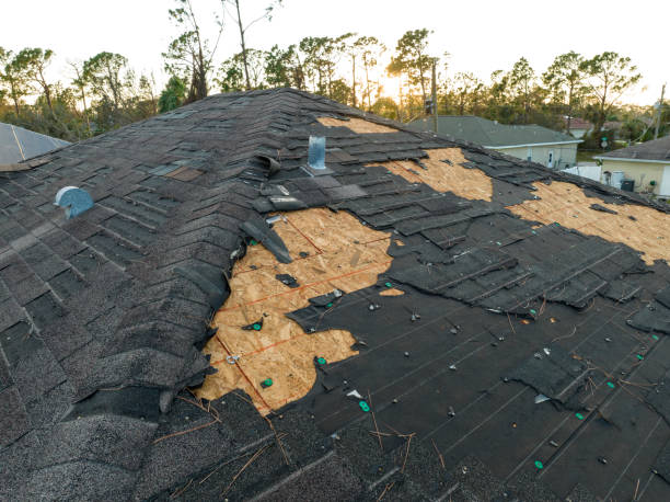 Best Solar Panel Roofing Installation  in Nephi, UT