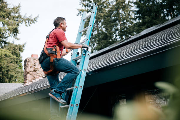 Best Gutter Installation and Repair  in Nephi, UT